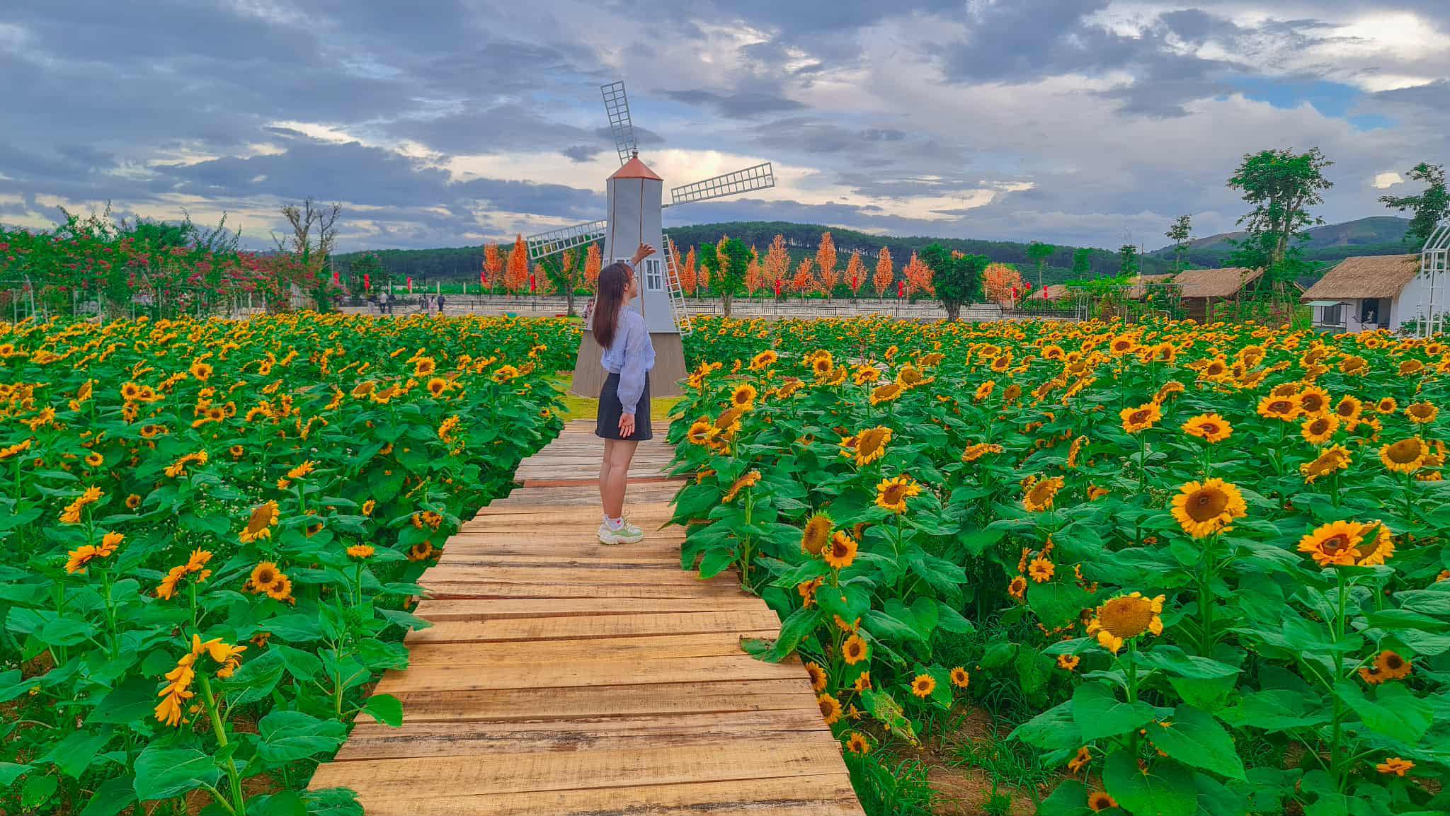 Kỹ Năng Lãnh Đạo & Quản Lý Đội Nhóm